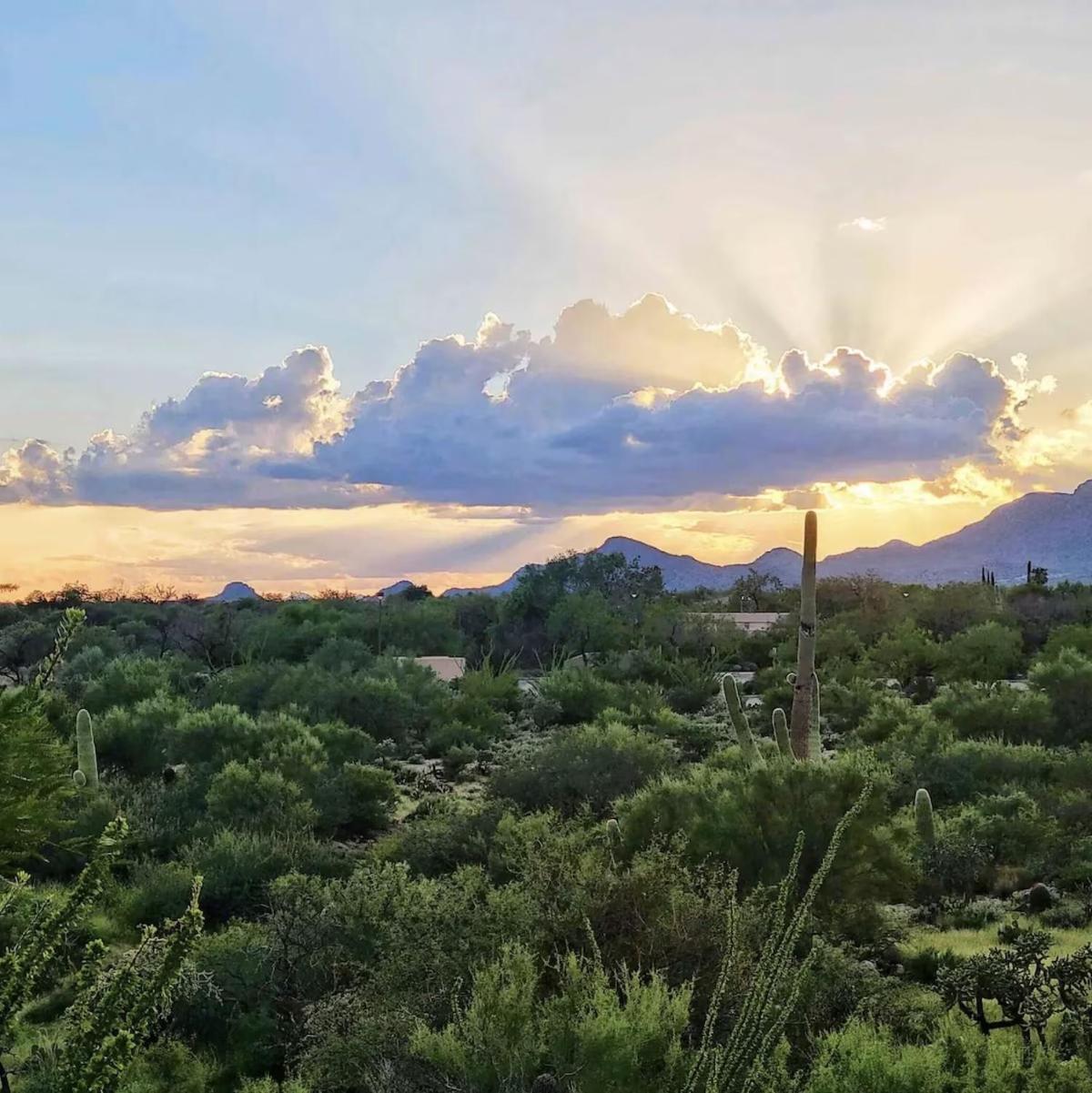 Luxury 3Bd 2Ba Home Near Tucson With Desert Views - Low Summer Rates! Oro Valley Exteriör bild