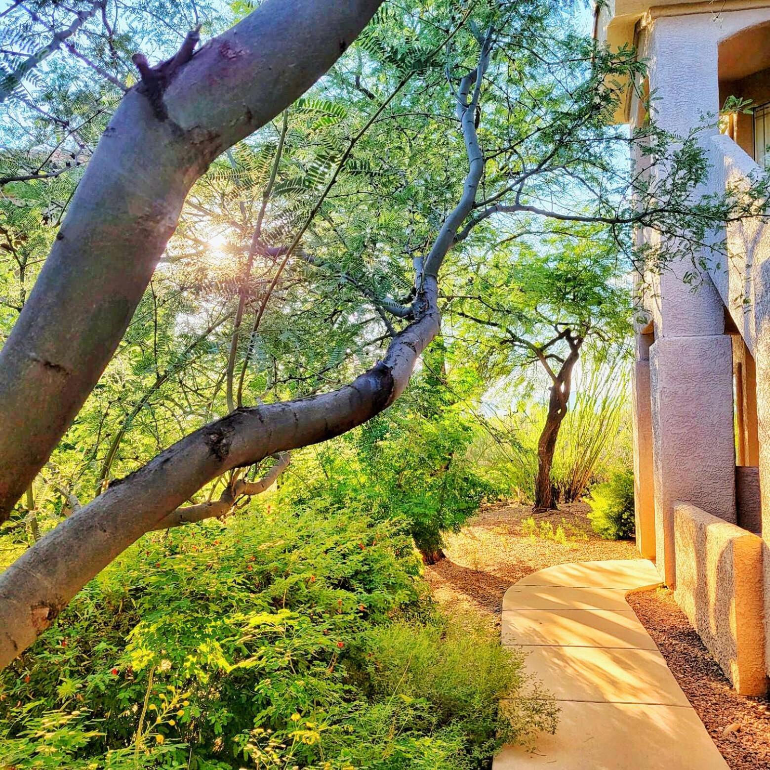 Luxury 3Bd 2Ba Home Near Tucson With Desert Views - Low Summer Rates! Oro Valley Exteriör bild